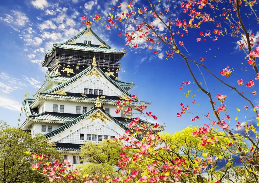 Nhật Bản: Kansai – Osaka – Yamanashi – Tokyo – Narita